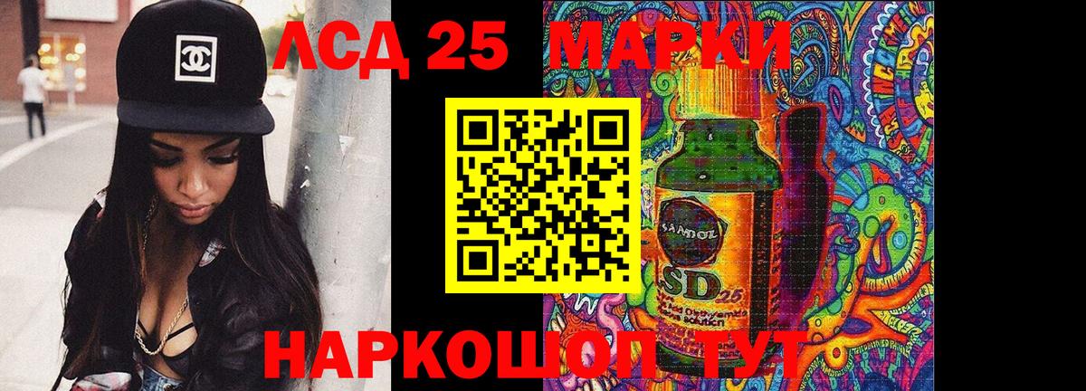 COCAIN Гатчина