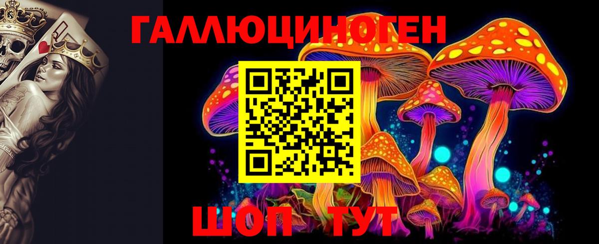 Псилоцибиновые грибы ЛСД  Псилоцибиновые грибы GOLDEN TEACHER  Гатчина  Вход с VPN 